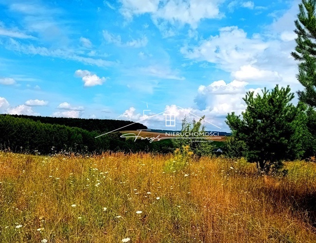 Kniażyce, działka budowlana (WZ-tka). Podkarpackie. Kniażyce. Sprzedaż działek