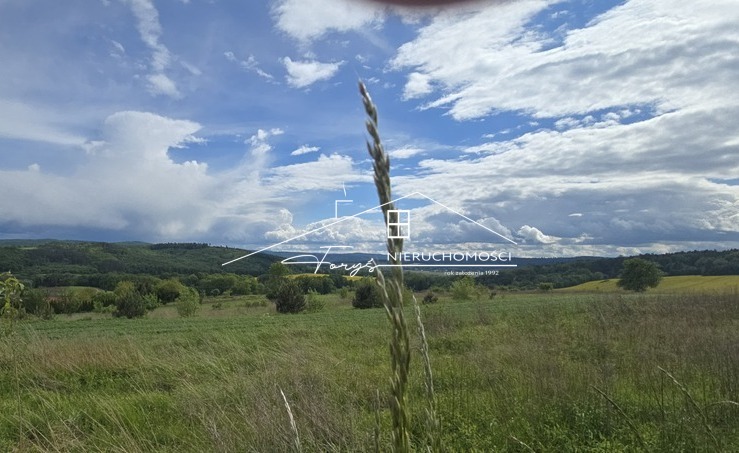 Wapowce, działka budowlana-rolna (z WZ-tką). Podkarpackie. Wapowce. Sprzedaż działek