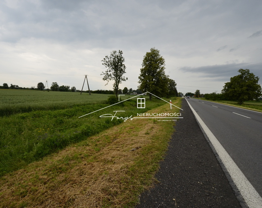 Podkarpackie. Radymno. Sprzedaż działek
