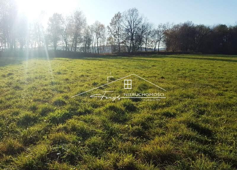 DZIAŁKA NA NAJWYŻSZYM WZNIESIENIU PRZEMYŚLA. Podkarpackie. Przemyśl. Sprzedaż działek