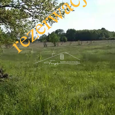 Dolnośląskie. Brzezie. Sprzedaż działek