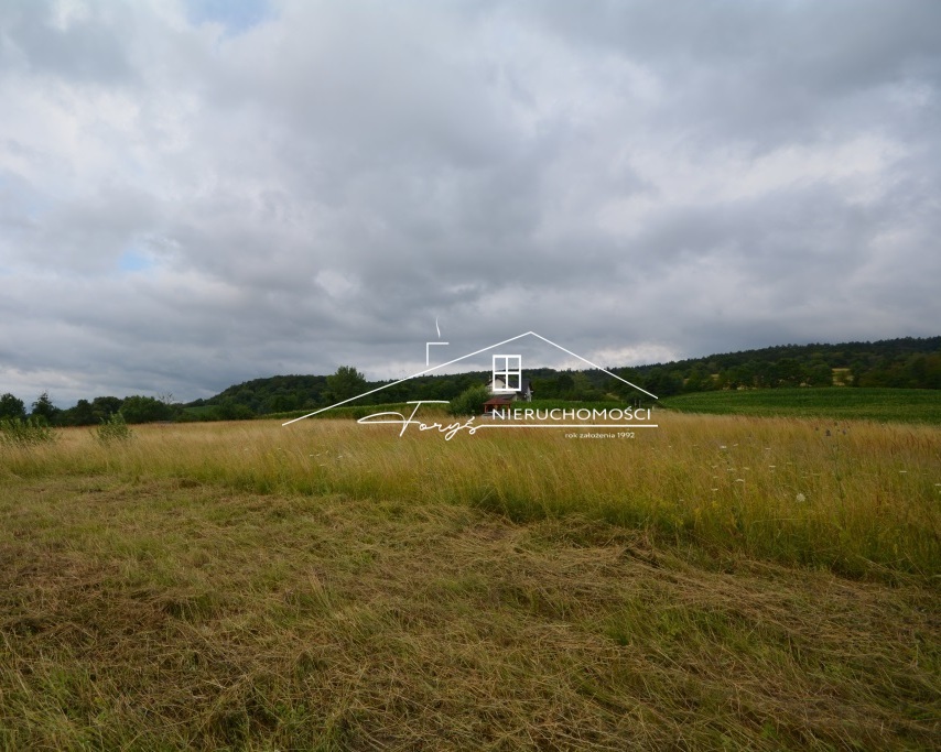 Podkarpackie. Sólca. Sprzedaż działek