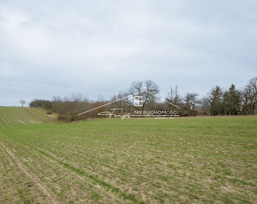 Podkarpackie. Jarosław. Sprzedaż działek