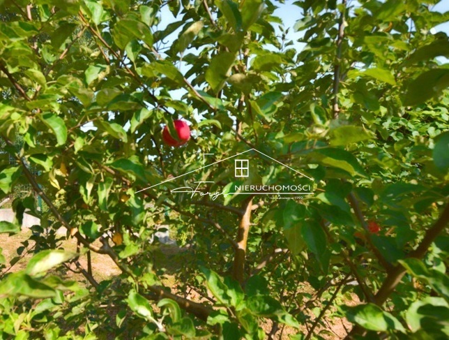 Olszany  letniskowy dom z basenem i dużą działką w malowniczej Dolinie Sanu