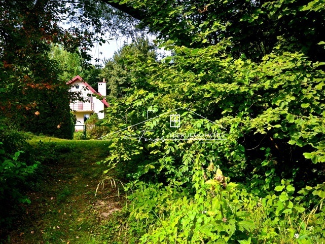 Olszany  letniskowy dom z basenem i dużą działką w malowniczej Dolinie Sanu