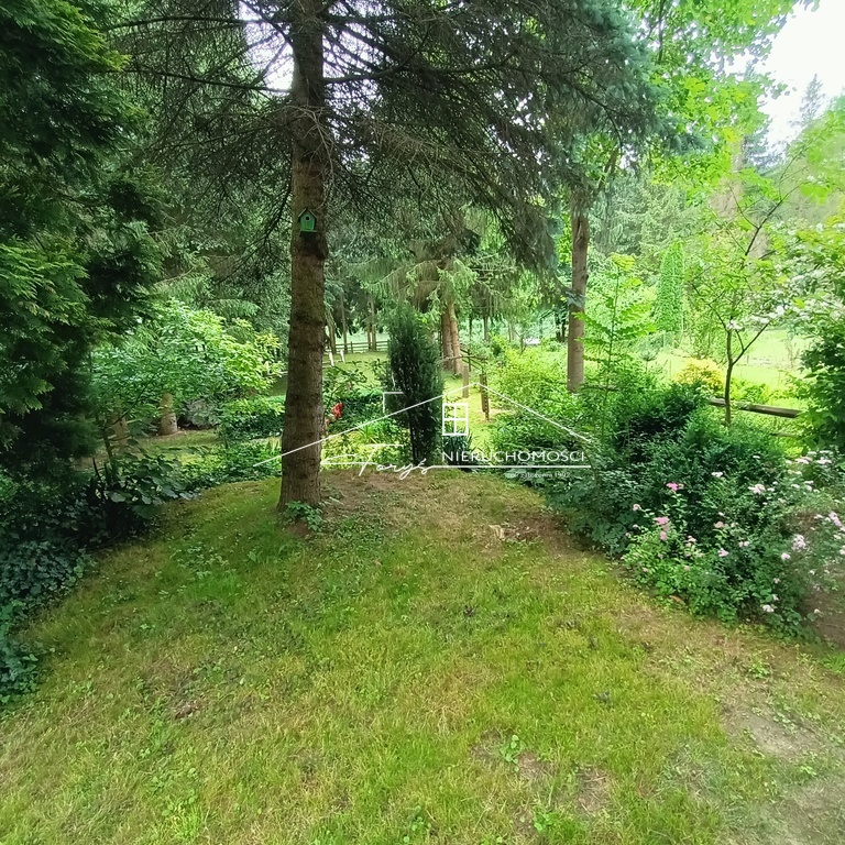 Całoroczny dom letniskowy nad Sanem  Krasice, 9-arowa działka, idealna na wypoczynek i inwestycję