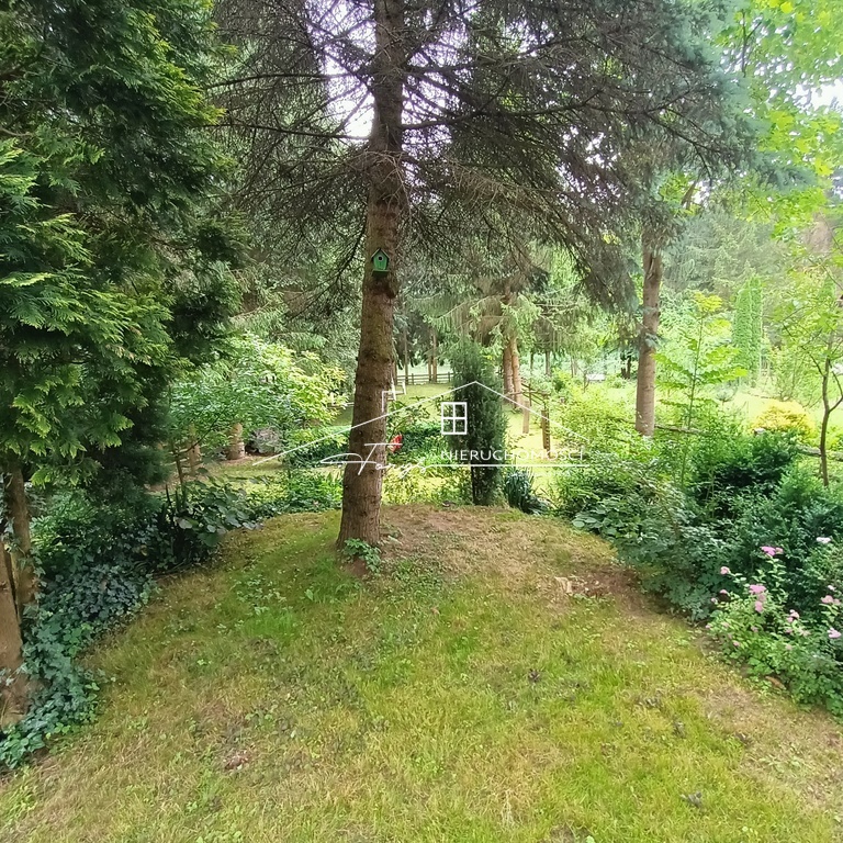 Całoroczny dom letniskowy nad Sanem  Krasice, 9-arowa działka, idealna na wypoczynek i inwestycję