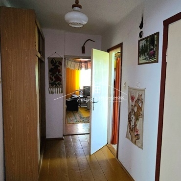 Zielony ogród z drzewami owocowymi – prywatna oaza spokoju przy domu.