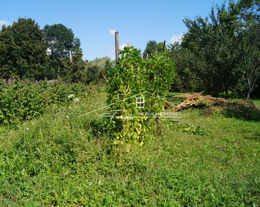 Na sprzedaż dom z budynkiem gospodarczym na pięknej 42-arowej działce  Stary Dzików, pow. lubaczowski