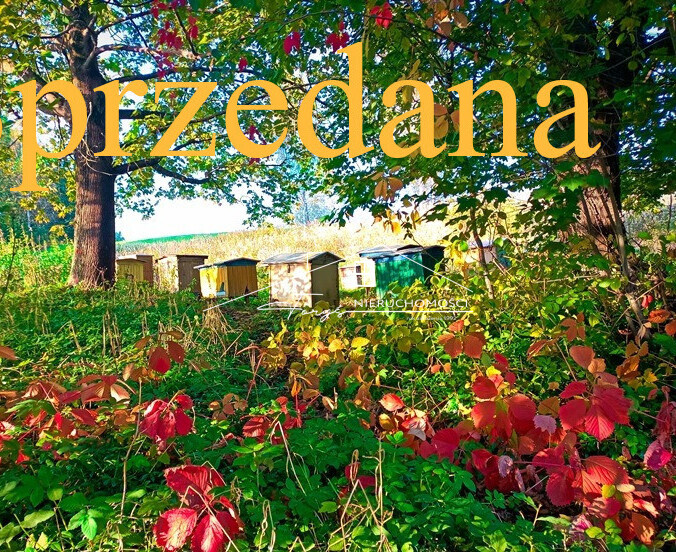 Unikalna działka 7,07 ha w sercu Podkarpacia  Pietrusza Wola, idealna pod agroturystykę i rekreację