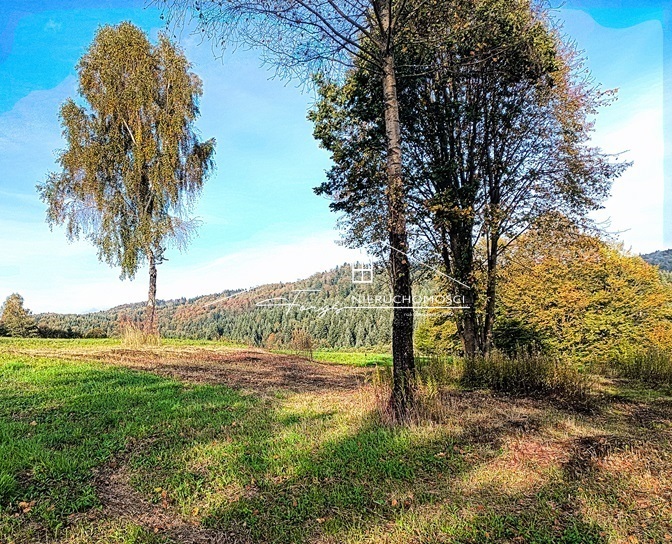 Unikalna działka 7,07 ha w sercu Podkarpacia  Pietrusza Wola, idealna pod agroturystykę i rekreację