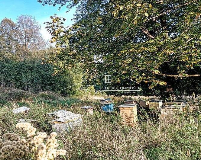 Unikalna działka 7,07 ha w sercu Podkarpacia  Pietrusza Wola, idealna pod agroturystykę i rekreację