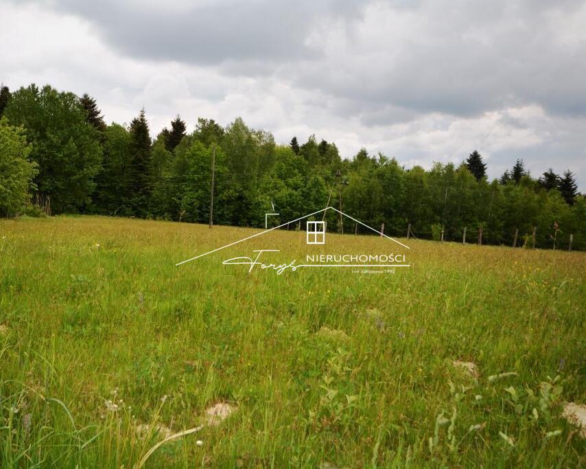 Działka budowlana 35 arów na sprzedaż  Babice Połanki, gmina Krzywcza, przy lesie