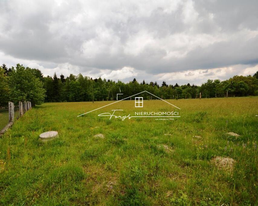 Działka budowlana 35 arów na sprzedaż  Babice Połanki, gmina Krzywcza, przy lesie