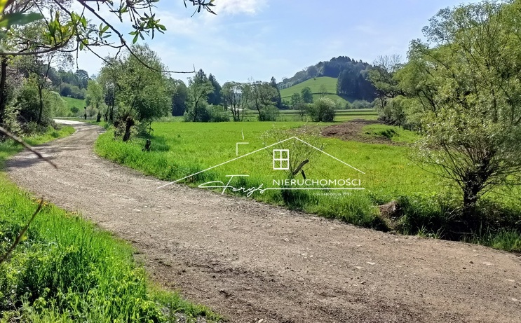 Działka 2,24 ha w sercu Beskidu Niskiego  Daliowa, przy trasie KrosnoCisna
