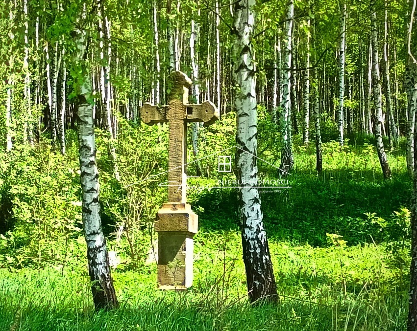 Działka 2,24 ha w sercu Beskidu Niskiego  Daliowa, przy trasie KrosnoCisna