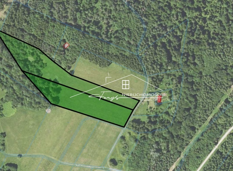 Na sprzedaż duża działka 2,57 ha z warunkami zabudowy  Borownica, pod lasem