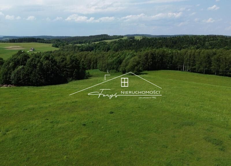 Na sprzedaż duża działka 2,57 ha z warunkami zabudowy  Borownica, pod lasem