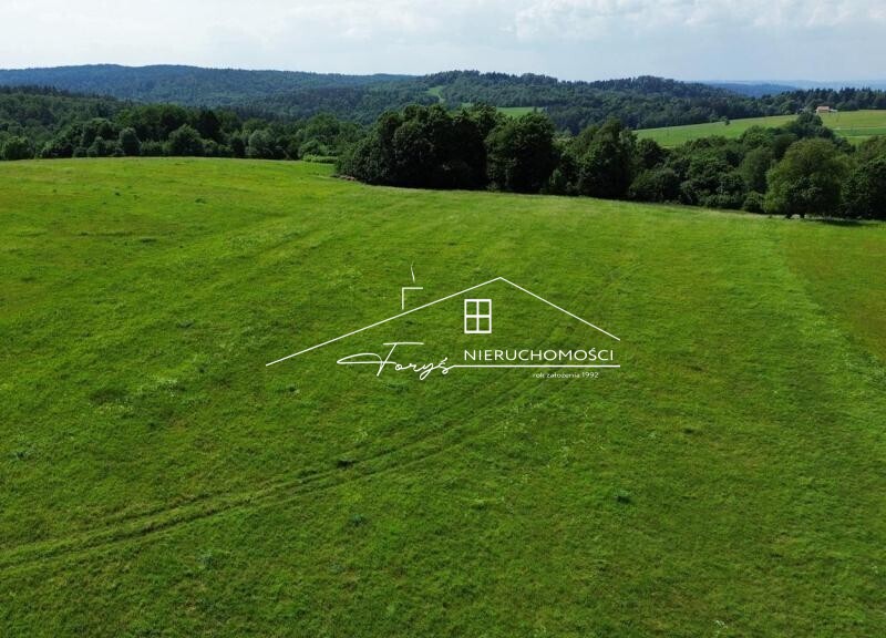 Na sprzedaż duża działka 2,57 ha z warunkami zabudowy  Borownica, pod lasem