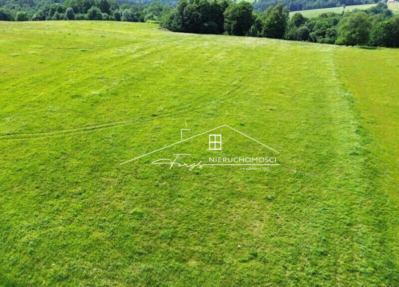 Na sprzedaż duża działka 2,57 ha z warunkami zabudowy  Borownica, pod lasem