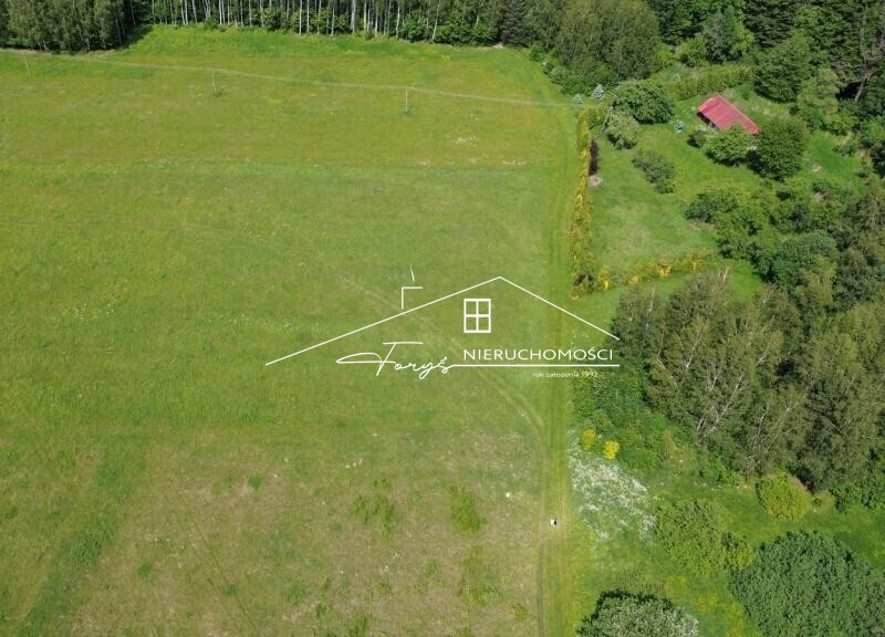 Na sprzedaż duża działka 2,57 ha z warunkami zabudowy  Borownica, pod lasem
