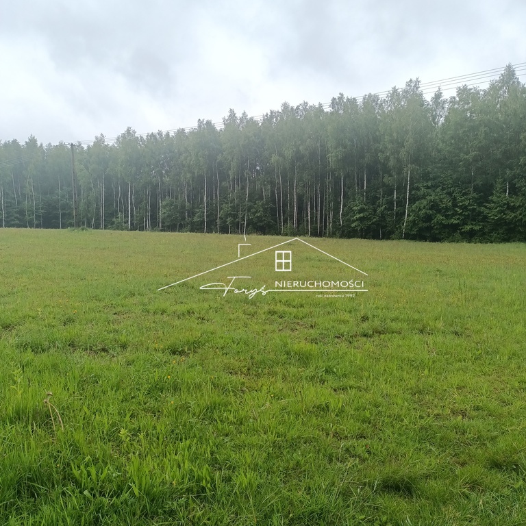 Na sprzedaż duża działka 2,57 ha z warunkami zabudowy  Borownica, pod lasem