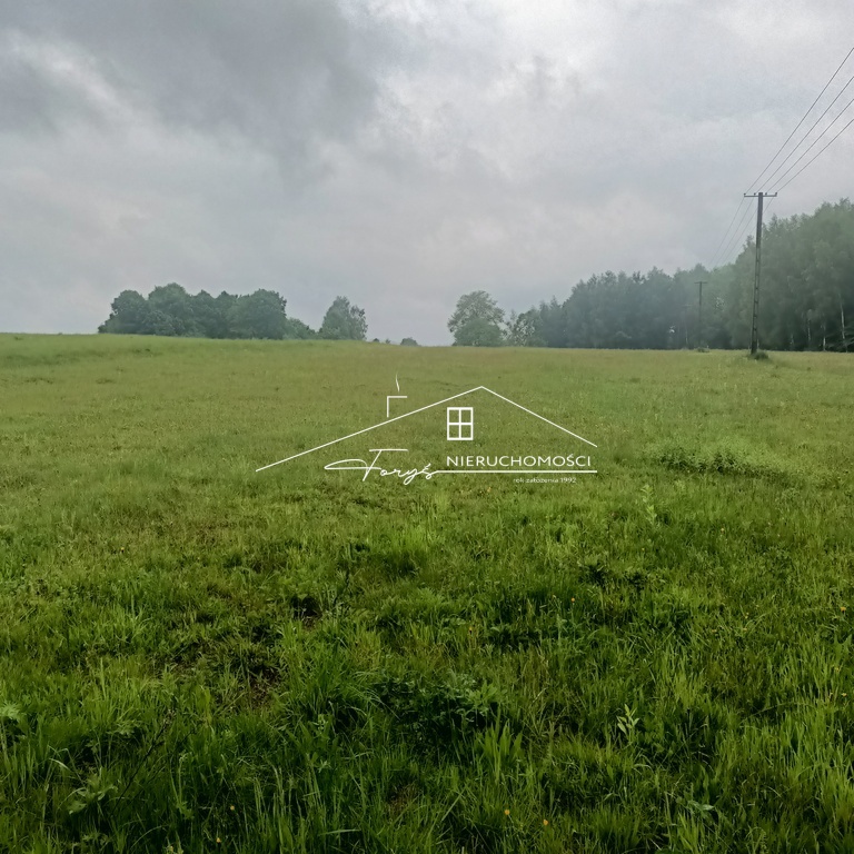 Na sprzedaż duża działka 2,57 ha z warunkami zabudowy  Borownica, pod lasem