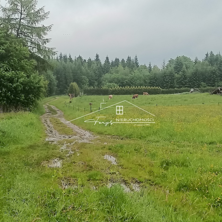 Na sprzedaż duża działka 2,57 ha z warunkami zabudowy  Borownica, pod lasem