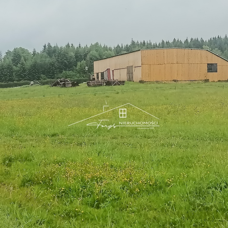 Na sprzedaż duża działka 2,57 ha z warunkami zabudowy  Borownica, pod lasem