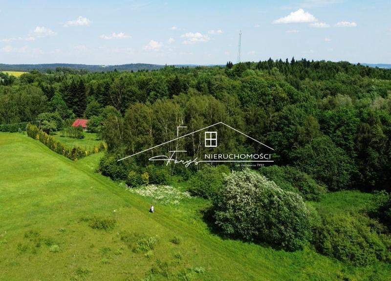 Na sprzedaż duża działka 2,57 ha z warunkami zabudowy  Borownica, pod lasem