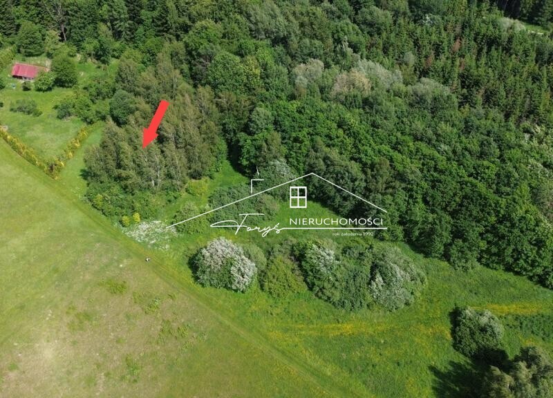 Atrakcyjna działka 46 arów pod lasem  Borownica, gm. Bircza, z warunkami zabudowy