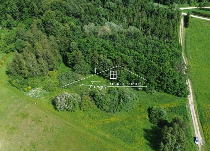 Atrakcyjna działka 46 arów pod lasem  Borownica, gm. Bircza, z warunkami zabudowy