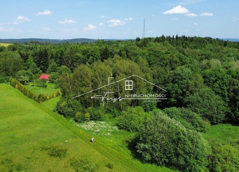 Atrakcyjna działka 46 arów pod lasem  Borownica, gm. Bircza, z warunkami zabudowy