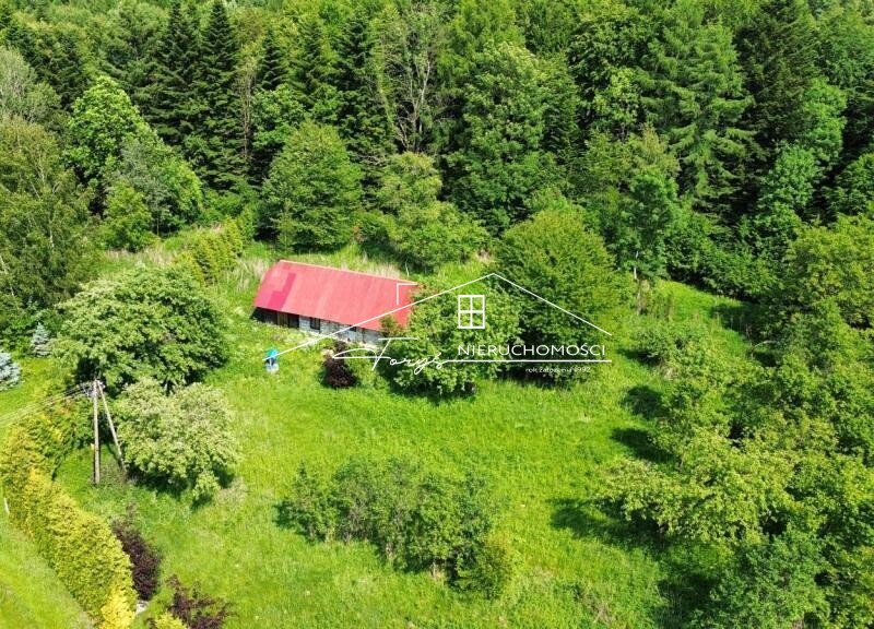 Atrakcyjna działka 46 arów pod lasem  Borownica, gm. Bircza, z warunkami zabudowy