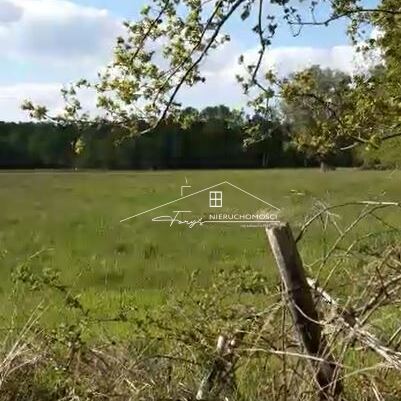 Brzezie k. Trzebnicy  działka rolna 2,34ha przy lesie, idealna pod rekreację lub uprawy