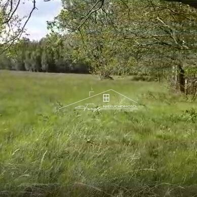 Brzezie k. Trzebnicy  działka rolna 2,34ha przy lesie, idealna pod rekreację lub uprawy
