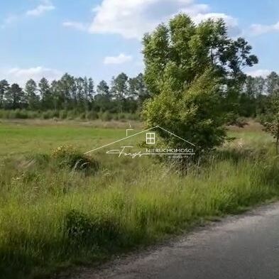 Brzezie k. Trzebnicy  działka rolna 2,34ha przy lesie, idealna pod rekreację lub uprawy
