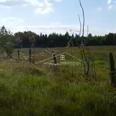 Brzezie k. Trzebnicy  działka rolna 2,34ha przy lesie, idealna pod rekreację lub uprawy