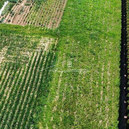 Wyjątkowa działka budowlano-rolna w Śliwnicy  widokowa, uzbrojona i gotowa do zabudowy