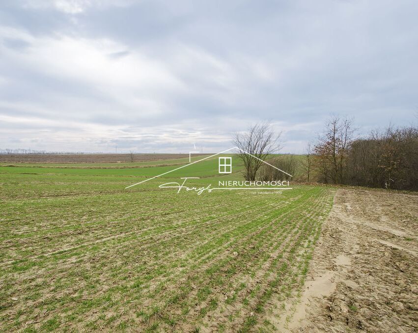 Działka budowlana 14,38 a z WZ  Kruhel Pawłosiowski, Jarosław, spokojna okolica