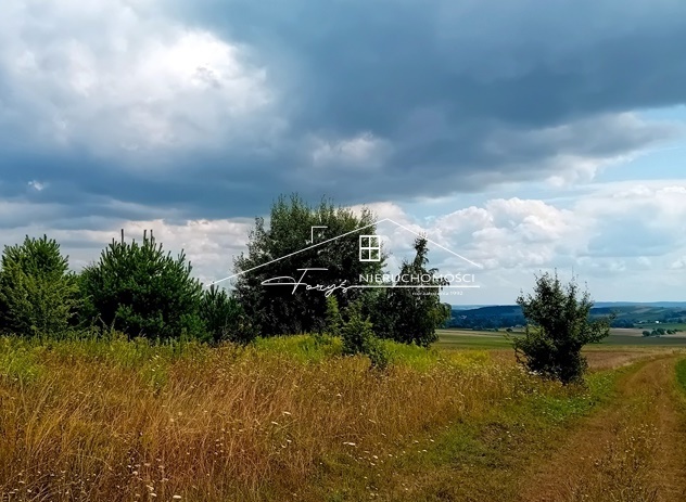 Działka budowlana 95 arów z WZ  Kniażyce, malownicza lokalizacja pod inwestycję