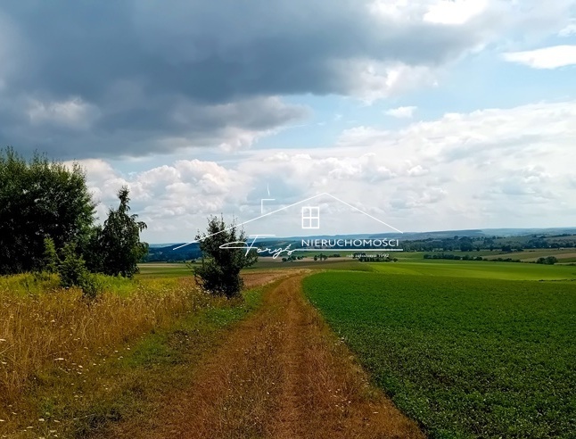 Działka budowlana 95 arów z WZ  Kniażyce, malownicza lokalizacja pod inwestycję