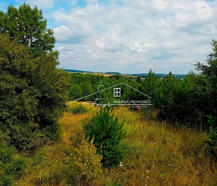 Działka budowlana 95 arów z WZ  Kniażyce, malownicza lokalizacja pod inwestycję