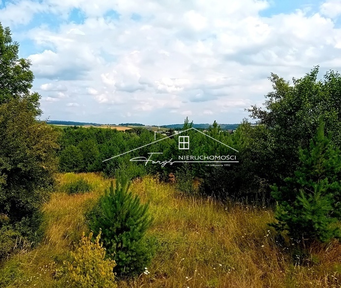 Działka budowlana 95 arów z WZ  Kniażyce, malownicza lokalizacja pod inwestycję