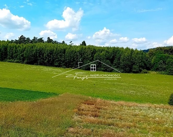 Działka budowlana 95 arów z WZ  Kniażyce, malownicza lokalizacja pod inwestycję