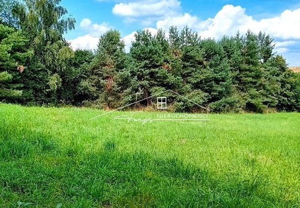 Działka budowlana 95 arów z WZ  Kniażyce, malownicza lokalizacja pod inwestycję