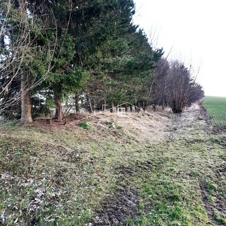 Działka budowlana 50 arów w Kniażycach  malownicza okolica z WZ-tką i dojazdem