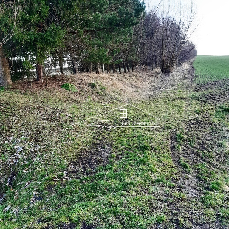 Działka budowlana 50 arów w Kniażycach  malownicza okolica z WZ-tką i dojazdem