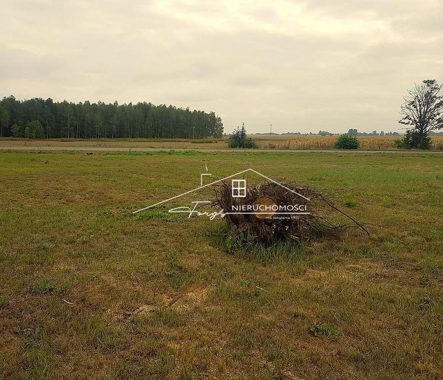 Działka budowlana 14,52ar w Miękiszu Nowym  spokojna okolica, atrakcyjna cena
