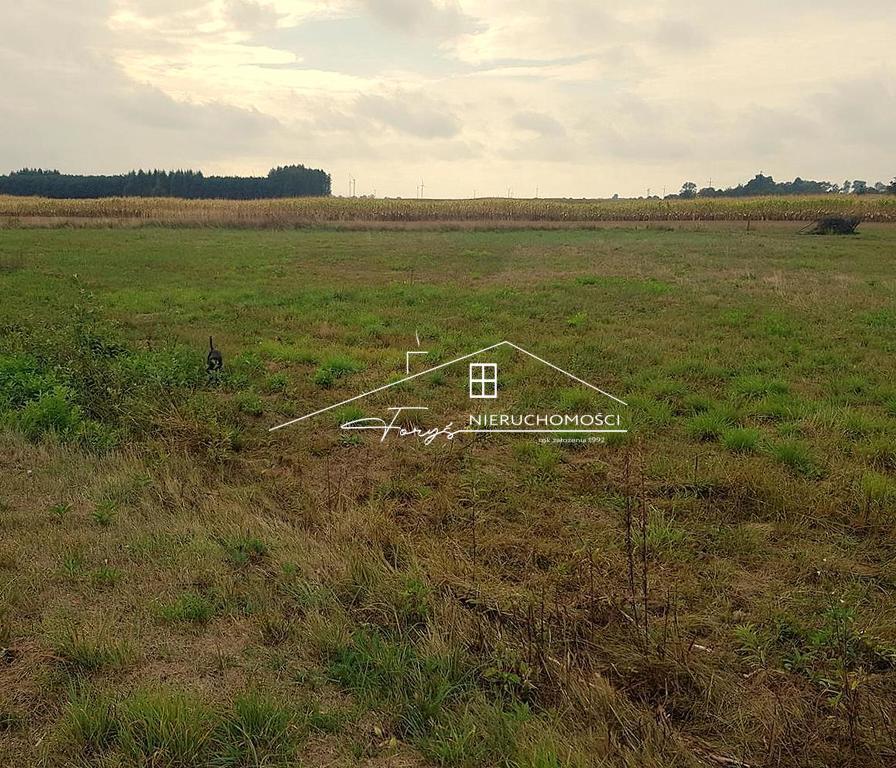 Działka budowlana 14,52ar w Miękiszu Nowym  spokojna okolica, atrakcyjna cena